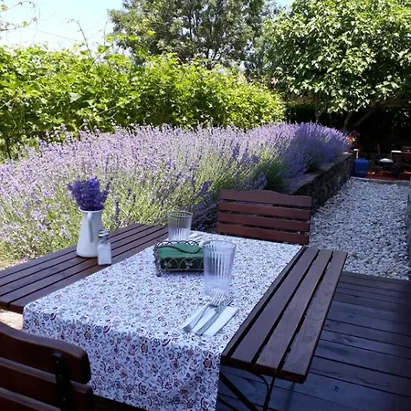 Hotel Vilarte Lozenec