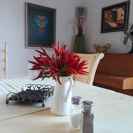 Hotel Vilarte 3*