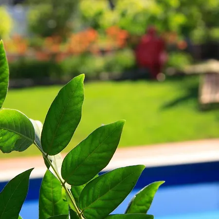 Vilarte Hotel